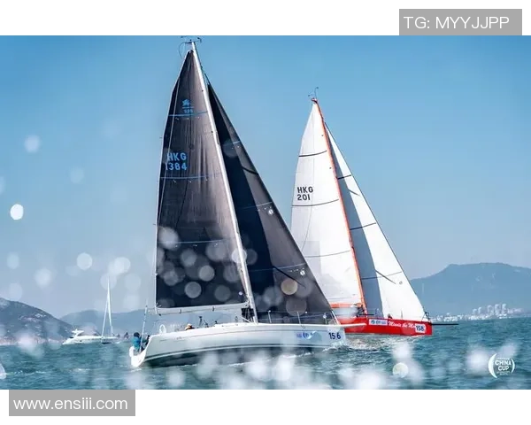 2026CS_GO比赛经验排行榜：V5位居第7名